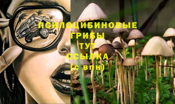 MDMA Premium VHQ Белоозёрский