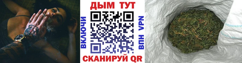 Бошки Шишки Amnesia Полесск